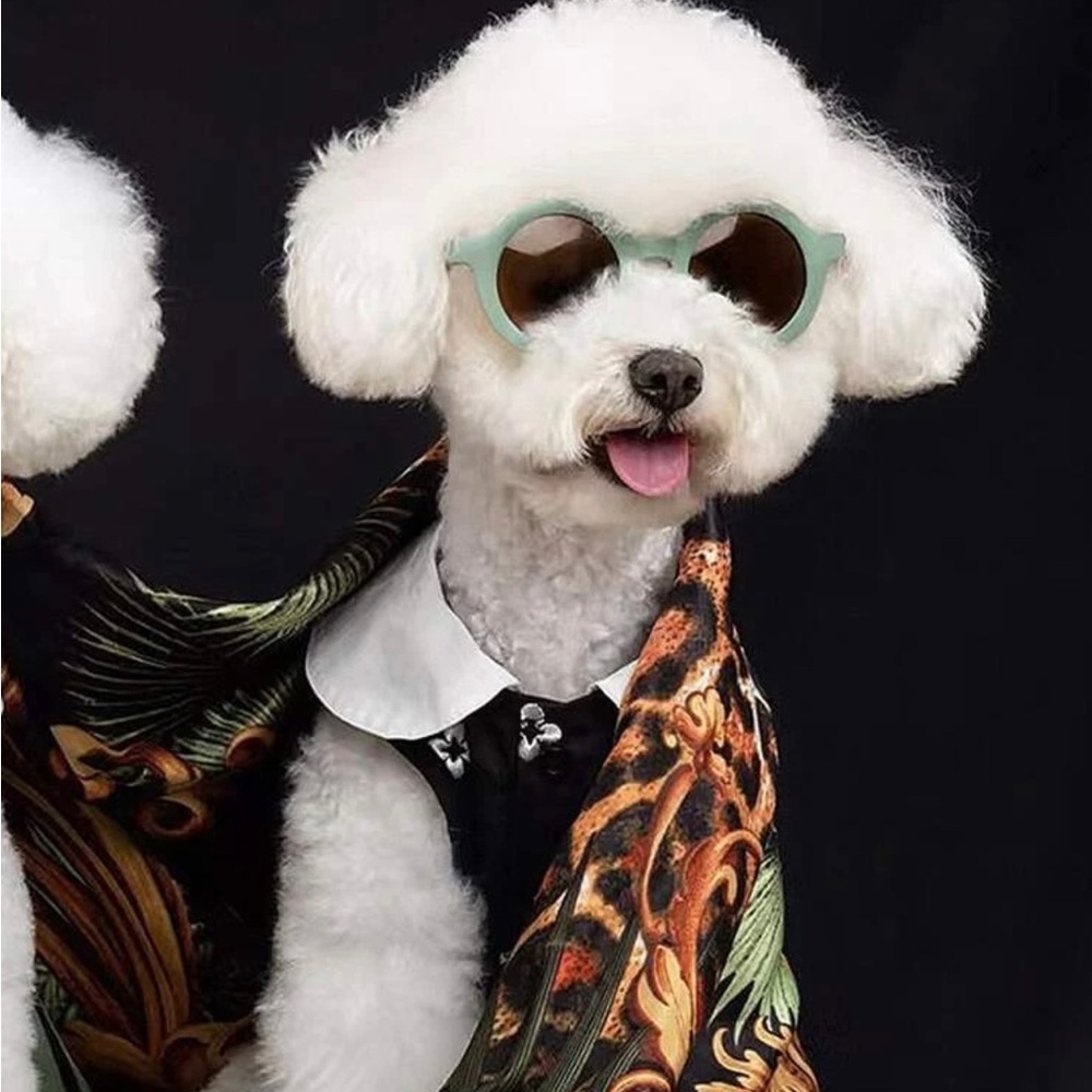 Round Mint Fashion Pet Sunglasses and Bandana Set - Picture 10 of 12